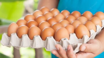 سعر كرتونة البيض اليوم جملة السبت 18 مايو 2024 ومفاجأة للمستهلكين